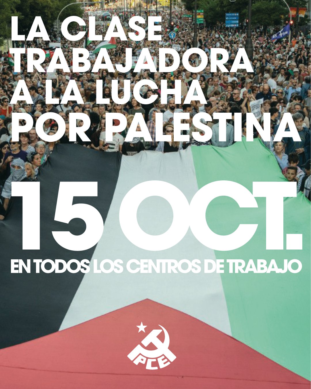 El Partido Comunista de Ciudad Real apoya la jornada de lucha en la solidaridad con el pueblo palestino
